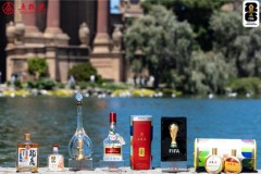 五粮液世界杯营销：从联名到互动，一场品牌与球迷的同行