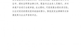 储能电池产业出海知识产权风险预警信息简报（二）：全链条风控体系构建成破局关键