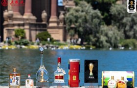 五粮液世界杯营销：从联名到互动，一场品牌与球迷的同行