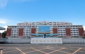 黑龙江艺体生志愿填报困局：如何避免本科滑档？