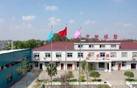 氟橡胶条密封方案：扬中橡塑的分段硫化技术